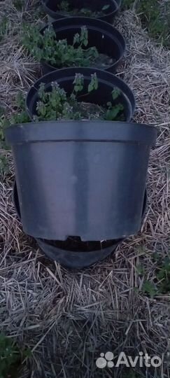 Горшки 35 литров