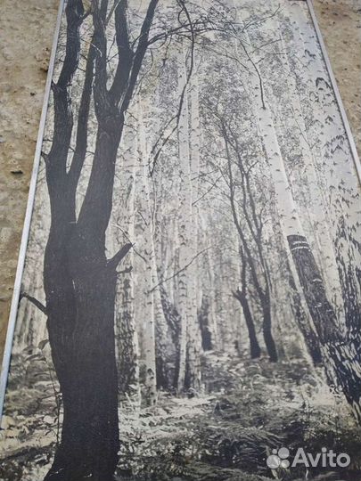 Фотопанно в AL раме, СССР