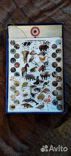 Живая природа(электро викторина)