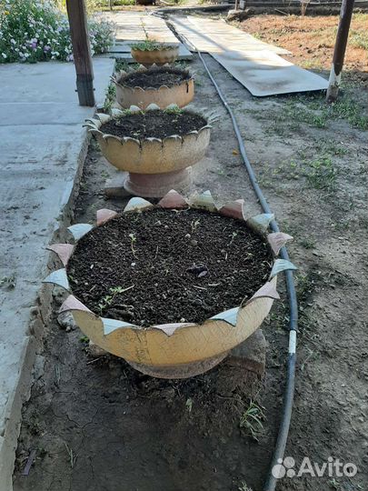 Клумбы для цветов