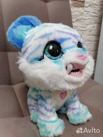 Соблезубый тигрёнок Норт