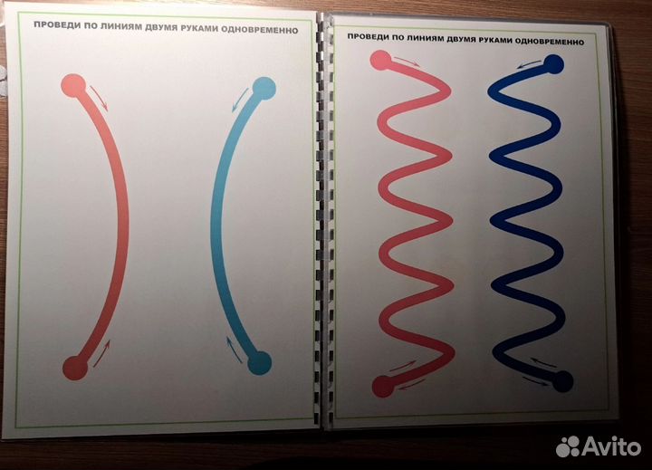 Нейроальбом. Развитие межполушарий и логики