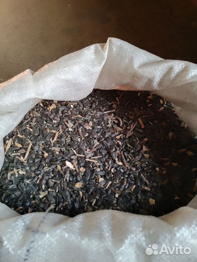 Семечки подсолнечника для птиц