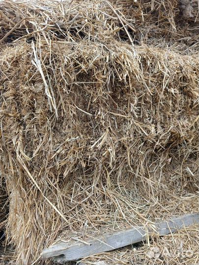 Сено солома в тюках