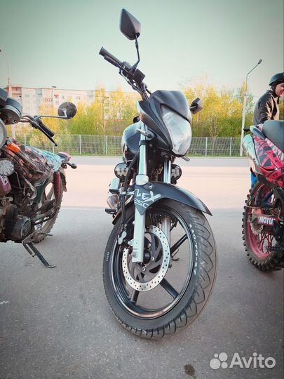 Stels flex 250