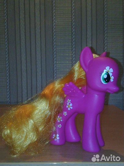My Little Pony