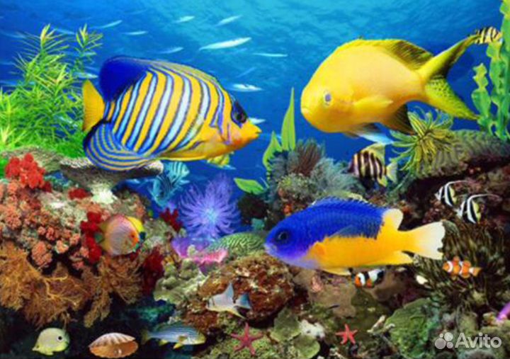 Набор 30*40, 40*60 алмазная вышивка мозаика