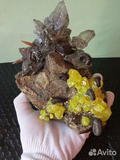 Окаменелости минералы