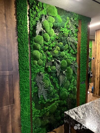 Мох. Фитостена. Озеленение. Декор ресторана