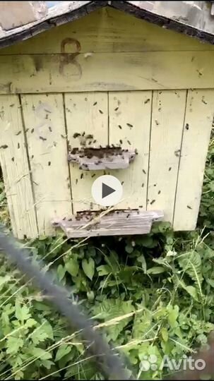 Улья 16 рамочные