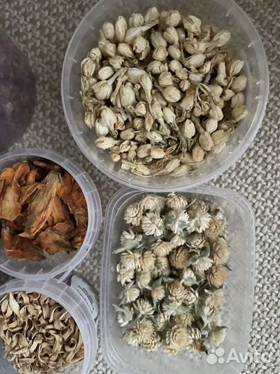 Цветы сухоцветы