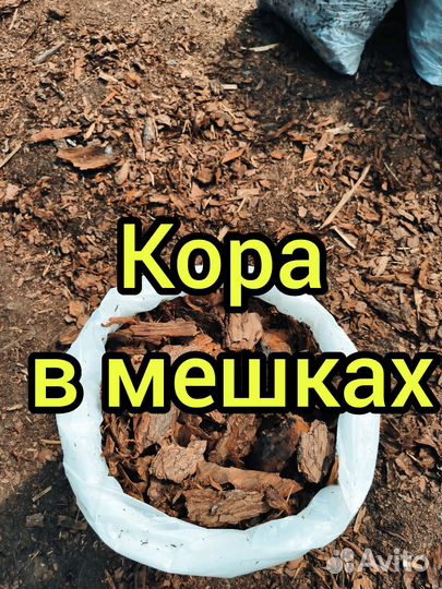 Кора сосны мульча