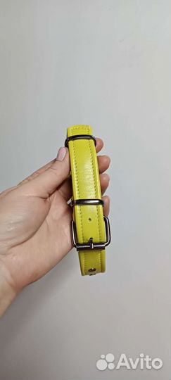 Ошейник для собаки средней породы