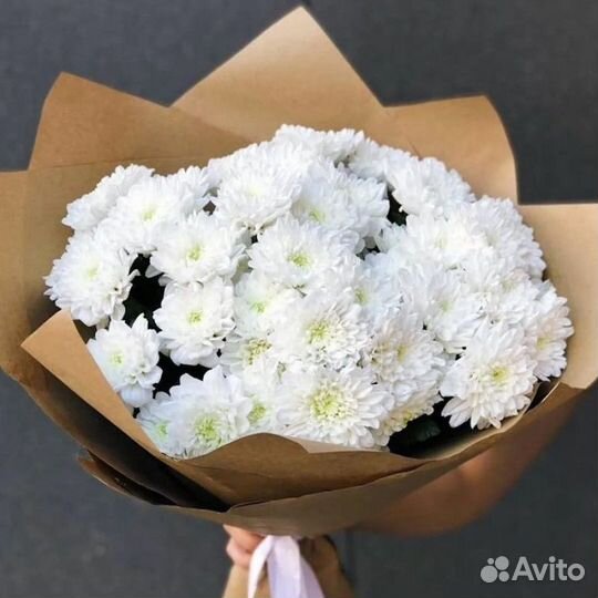 Цветы Хризантема с доставкой Котовск