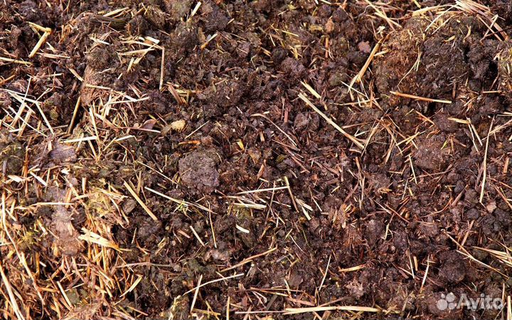 Конский навоз, удобрение