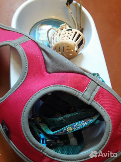 Отдам для маленькой собачки