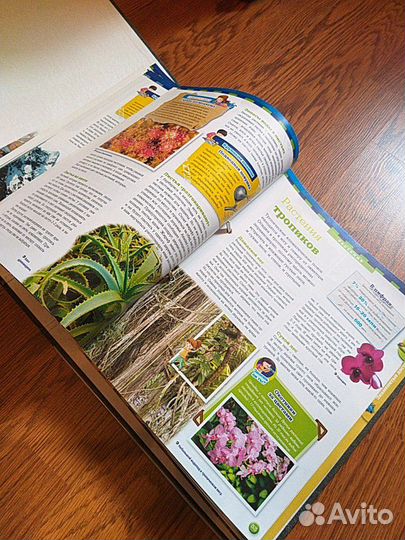 Сборная модель Земли