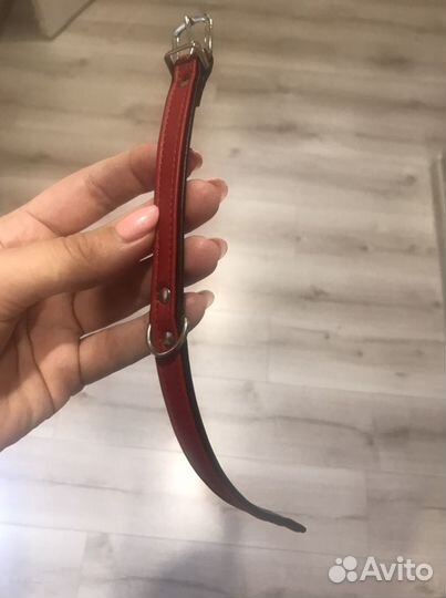 Ошейник для собак