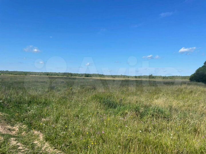 Участок 534,36 га (СНТ, ДНП)