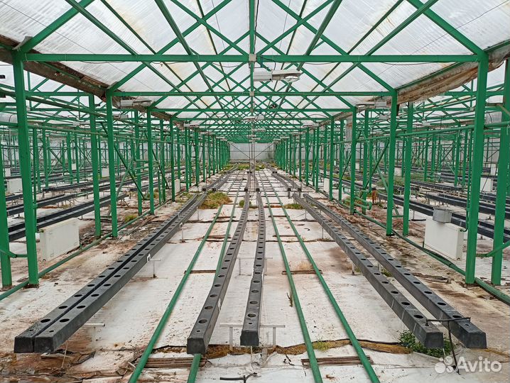 Теплица на продажу