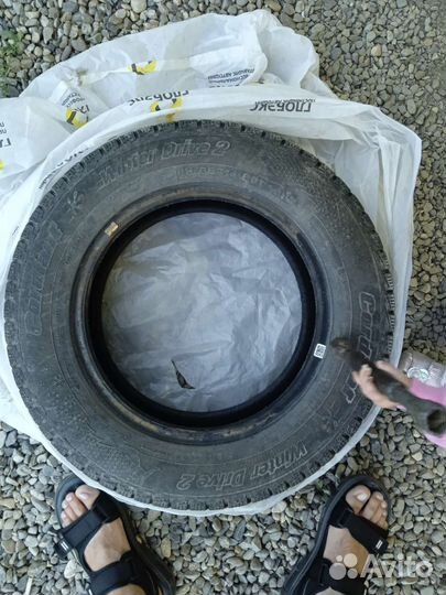 Cordiant Winter Drive 2 185/65 R14