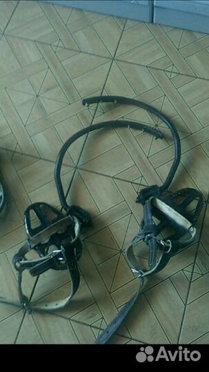 Лазы и когти в аренду