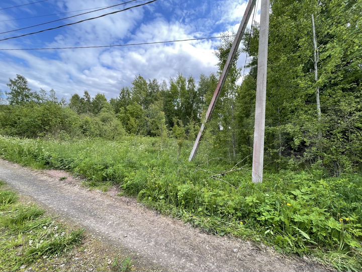 Участок 12 сот. (ИЖС)