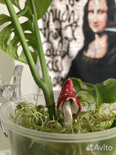 Грибы мухоморы, ручной работы