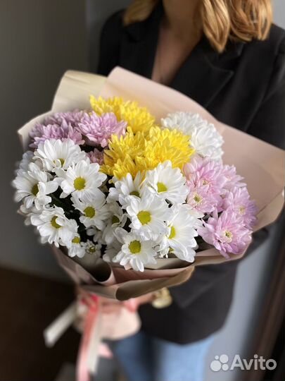 Растения, букет хризантемы, хризантема кустовая