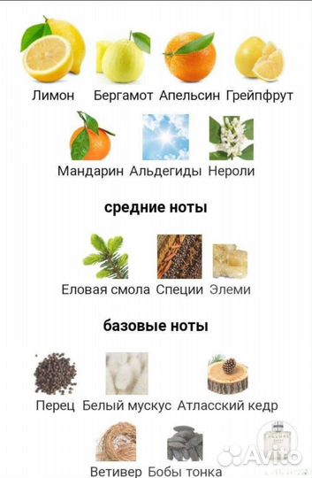 Chanel Allure homme sport cologne