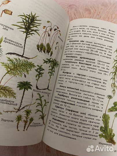 Атлас определитель от земли до неба