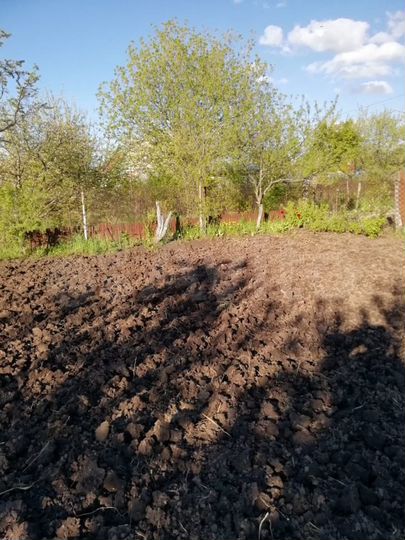 Участок 4 сот. (СНТ, ДНП)