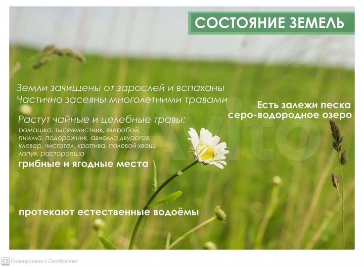 Участок 100 сот. (СНТ, ДНП)