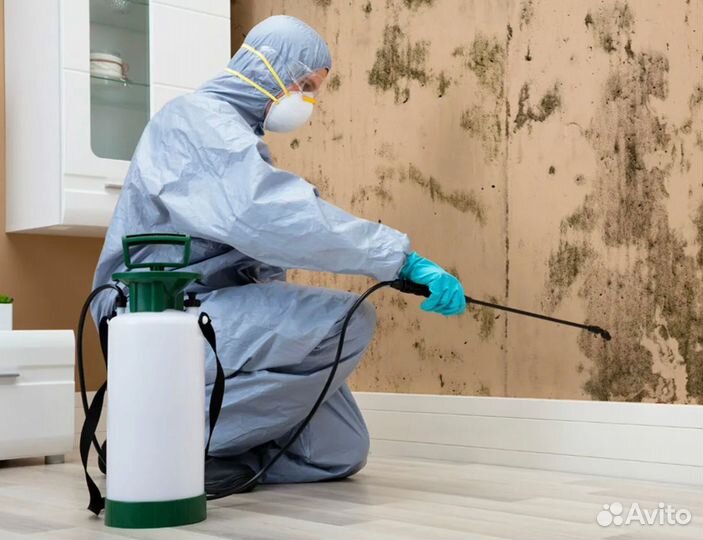 Обработка от тараканов, клопов, комаров крыс мышей