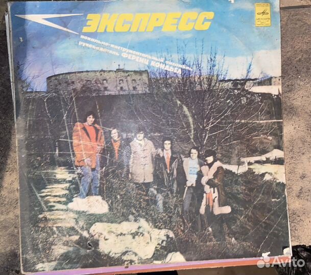 Виниловые пластинки