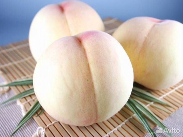 Саженцы персика Турист