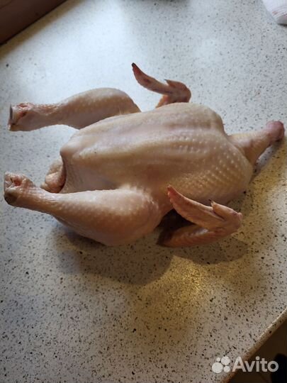 Мясо домашнего бройлера