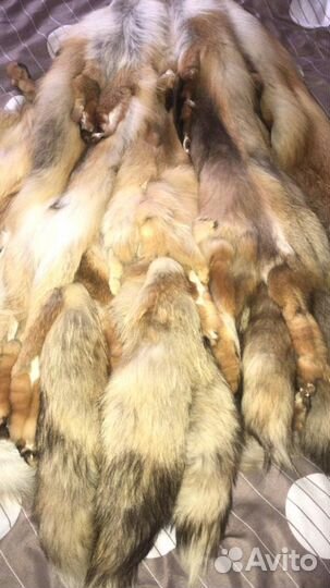 Шкуры рыжей лисы,фабричной выделки