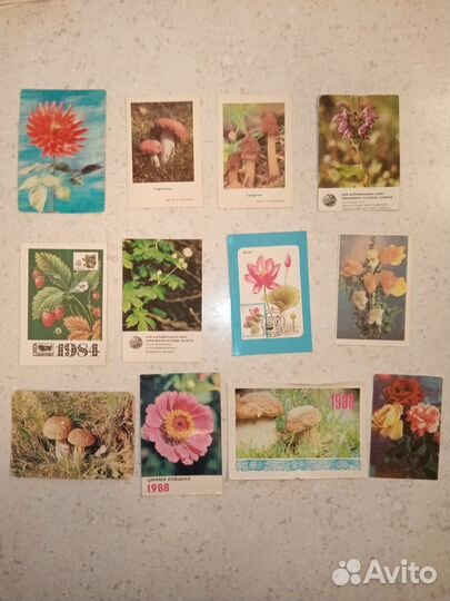 Календарики природа, животные, ратения и прочее