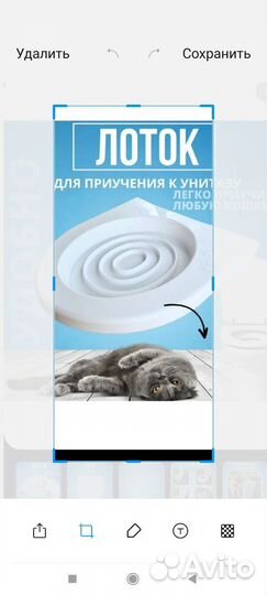 Приучающий лоток для кошек к унитазу