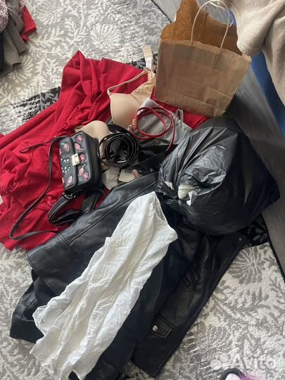 Отдам бесплатно