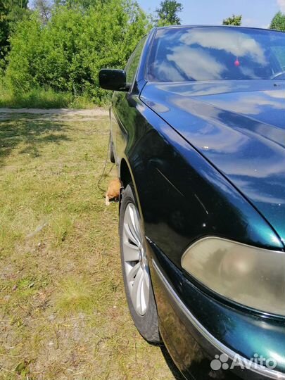 BMW 5 серия, 1996