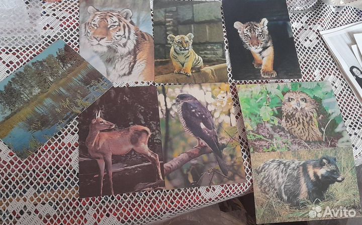 Открытки СССР