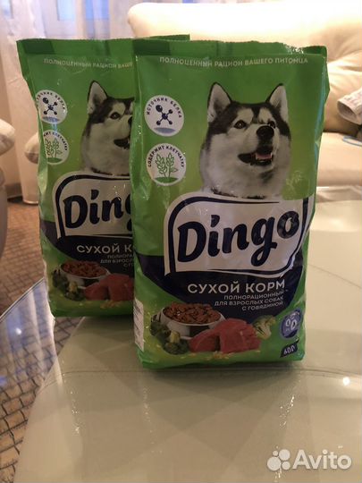 Корм для собак Dingo