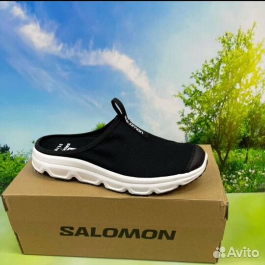 Salomon