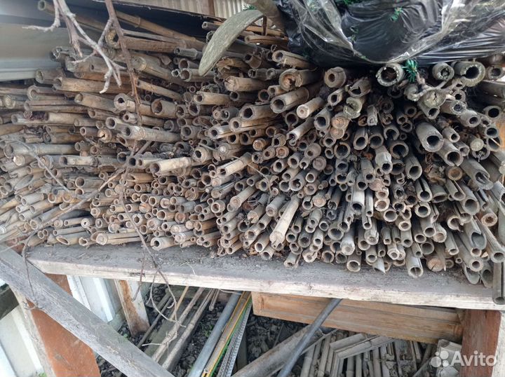 Ствол бамбука