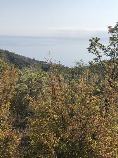 Участок 8 га (ИЖС)