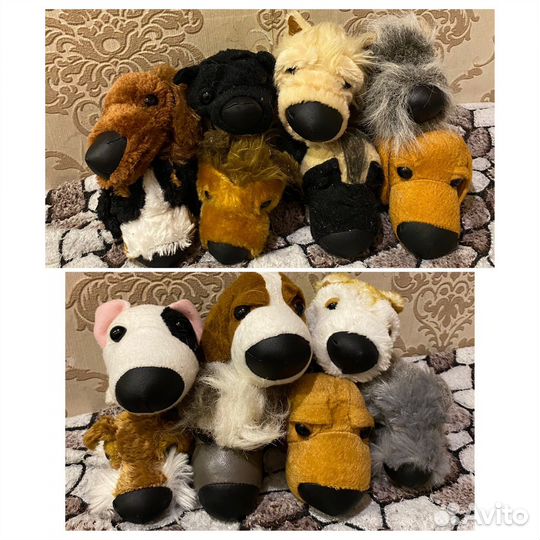 The dog and cat collection