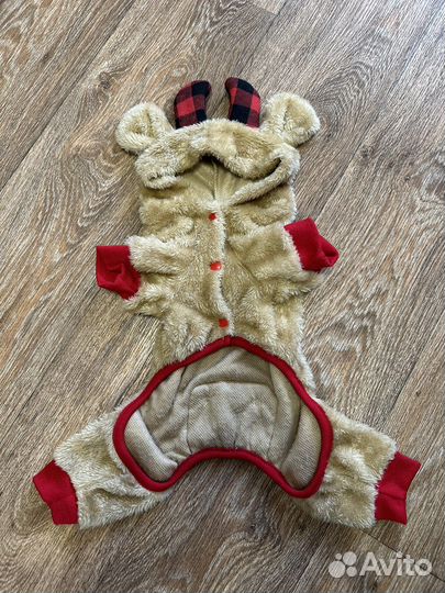 Костюм для животных новый с носками