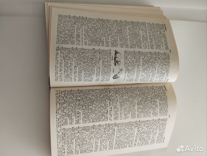 New Webster's dictionary of the English language